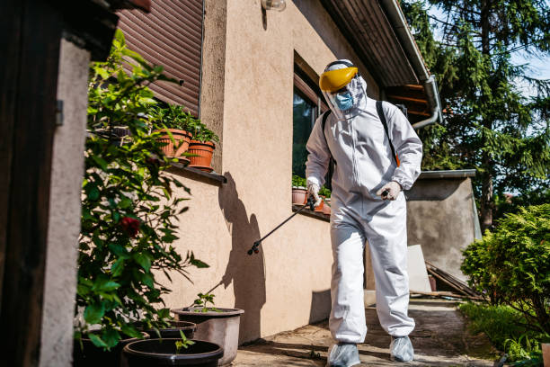 Best Best Pest Control Companies  in Margate City, NJ