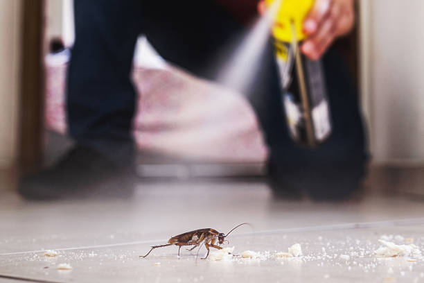 Reliable Margate City, NJ Pest Control Solutions